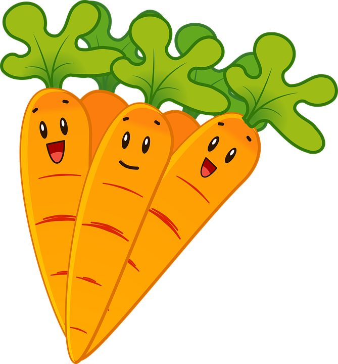 carrots-2022583_960_720